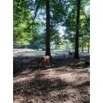 Wildpark_2c_7.jpg